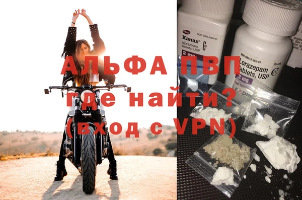 мяу мяу мука Братск