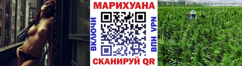 Шишки марихуана индика  где можно купить наркотик  MEGA ссылка  мориарти как зайти  Опочка 